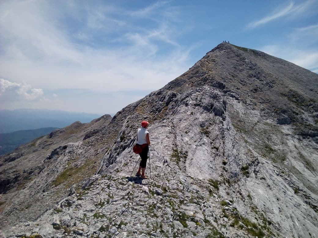 Cima montagna ed escursionista in primo piano